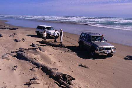 4WD Eco-Tour driving on a beach