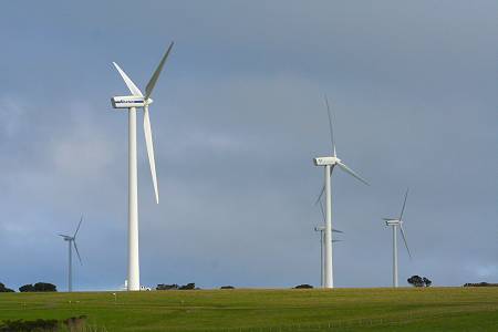 Woolnorth windfarm Tours